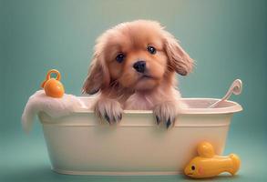 mignonne chiot chien dans baignoire , animaux domestiques nettoyage, studio tir. produire ai. photo