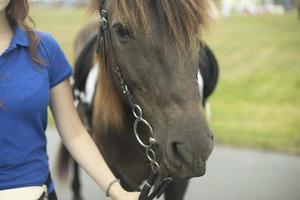 fille avec cheval. cheval dans parc. rênes à cheval. photo