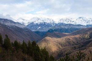 magnifique Montagne couverture avec neige à le de pointe dans de face de avec pin forêt. photo