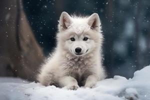 bébé Loup à neige arbre. produire ai photo