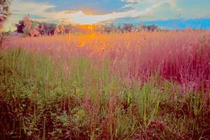 magnifique paysage. magnifique lever du soleil sur un inhabituel prairie. photo