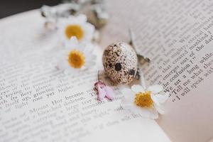 fermer de une peu printemps Marguerite fleur et camomille Caille Oeuf sur le Contexte de un vieux livre photo