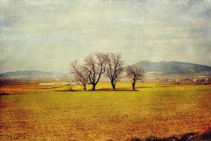 serein minimaliste paysage aragon Espagne dans hiver journée photo