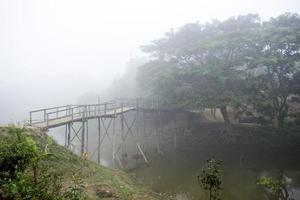 une visible en bois pont dans le hiver brumeux Matin. photo