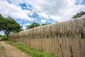 jute fibre sont conservé pendre sur pour Soleil séchage à madhabdi, Narsingdi, Bangladesh. photo