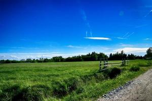 pittoresque printemps paysage avec bleu ciel et vert des champs photo