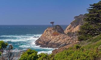 Monterey cyprès sur une rocheux côte photo