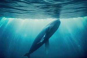 génératif ai illustration de bleu baleine en dessous de eau, océan photo