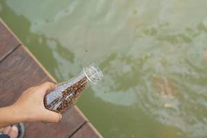 enfant main alimentation le poisson dans le étang photo