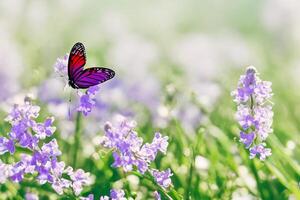 une magnifique papillon dans le jardin avec ai généré photo