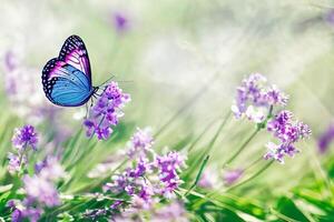 une magnifique papillon dans le jardin avec ai généré photo