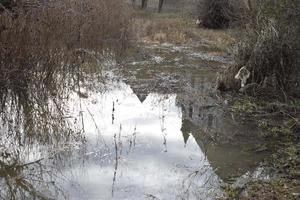 Château réflexion dans le inonder photo