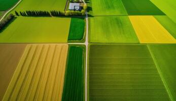 génératif ai, ferme paysage, agricole des champs, magnifique campagne, pays route. la nature illustration, photoréaliste Haut vue drone, horizontal bannière. photo