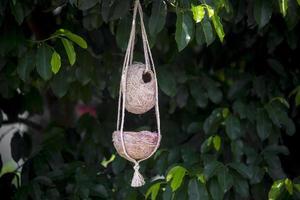 Fait main des oiseaux nid sont pendaison sur le branches de vert des arbres. intérieur décoration conception. nid fabriqué de fibre. photo