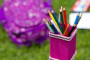 banane en fibres rose crayon titulaire avec multicolore des crayons. livres, des cahiers, école Sacs pouvez être vu sur en dehors de concentrer dans le herbe. photo