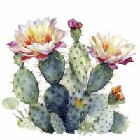 gratuit cactus fleurs l'eau couleur, pastel ,blanc Contexte , générer ai photo