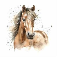 tiré illustration de adorable cheval, agrafe art, numérique art, HD, blanc Contexte photo