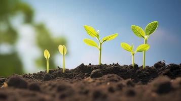 agriculture plante ensemencement croissance étape concept dans jardin et su, générer ai photo