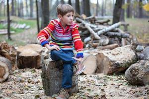 une garçon est assis sur une pile de bois de chauffage. une magnifique enfant sur une Contexte de des arbres. photo