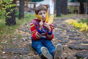 magnifique garçon est assis avec Jaune feuilles. enfant sur un l'automne marcher. photo