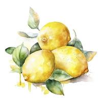 aquarelle La peinture de quatre citrons sur blanc arrière-plan, produire ai photo