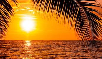 beau coucher de soleil avec des palmiers sur le fond de la plage de la mer tropicale photo