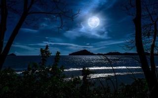 clair de lune plus de le mer à nuit dans plein clair de lune. Naturel Contexte. photo