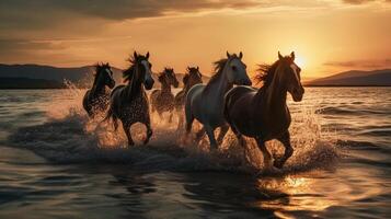 troupeau de les chevaux galopant dans le mer à le coucher du soleil dans été ai généré ouvrages d'art photo