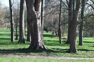 faible angle vue de local Publique parc de luton ville de Angleterre photo