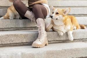 une Jeune blond femme dans une chapeau sur une marcher dans le parc avec gallois corgi-pembroke chiens.printemps photo