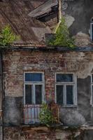 vieux ruiné loger, et croissance sur le les fenêtres de une petit arbre photo