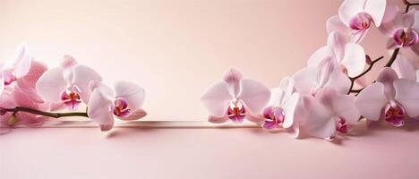 élégant orchidée cadre, délicat orchidées gracieusement orner deux coins de un vide blanc papier pour texte, ensemble contre une pastel rose Contexte ai généré photo