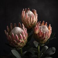 magnifique épanouissement fleur guerre flore, protea susara. .créé avec génératif ai photo