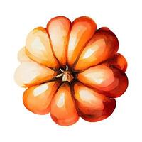 aquarelle Orange citrouilles illustration. Haut voir. isolé objet sur blanc Contexte. photo