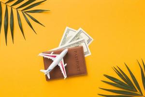 passeport plat avec dessus de figurine avion argent