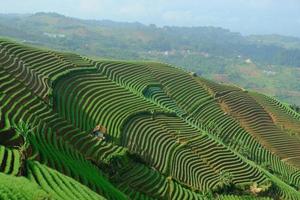 une image parfait destination une instantané de de panyaweyan majestueux montagnes et roulant collines photo