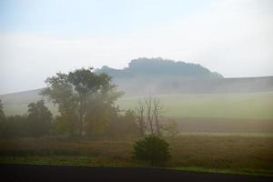 brouillard et pluie sur le marais photo