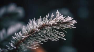 sapin branche. illustration ai génératif photo