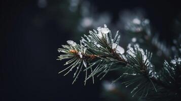 sapin branche. illustration ai génératif photo