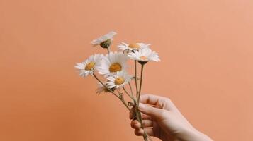 main avec camomille fleur. illustration ai génératif photo