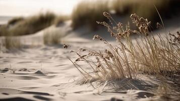 sec herbe et le sable Contexte. illustration ai génératif photo