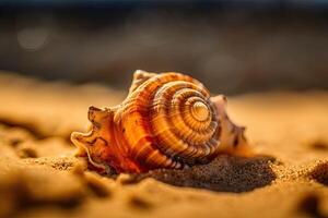 coquille sur le sable à plage. été paysage marin Contexte. génératif ai photo