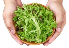 concept de une en bonne santé homme main en portant une en bois bol de Frais feuilles Salanova salade isolé sur blanc Contexte avec coupure chemin photo