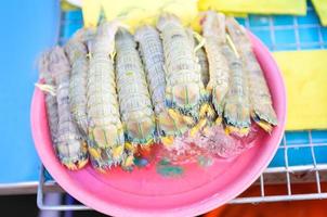 Frais mante crevette ou stomatopodes dans poisson marché photo
