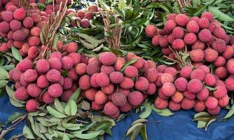 Frais litchi fruit à marché Thaïlande dans Asie du sud est. photo