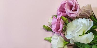 fleurs roses roses et blanches avec fond photo