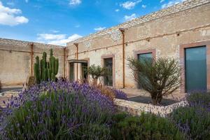 modèle école ville minéral de pozos dans guanajuato, Mexique, avec fleurs et cactus cactus photo