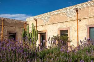 modèle école ville minéral de pozos dans guanajuato, Mexique, avec fleurs et cactus cactus photo