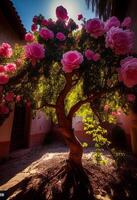 ensoleillement et pluie épanouissement Rose arbre. génératif ai photo