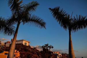 maisons sur la colline photo